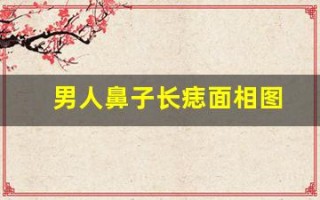 男人鼻子长痣面相图(男人鼻子长痣面相图解女人)