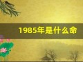 1985年是什么命(1985年属牛是什么命五行属性)