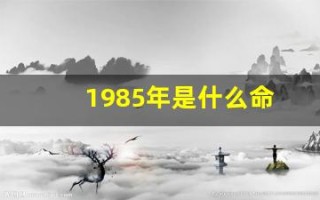 1985年是什么命(1985年属牛是什么命五行属性)