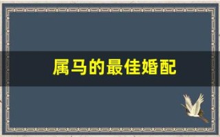 属马的最佳婚配(属马女的最佳婚配)