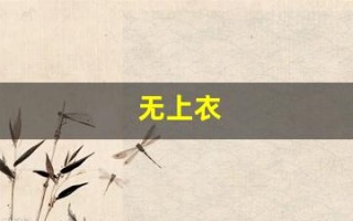 无上衣