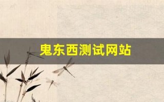 鬼东西测试网站(鬼东西测试网站你名字的意义)