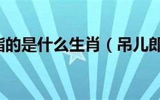 吊儿郎当打一动物(吊儿郎当打一歇后语)
