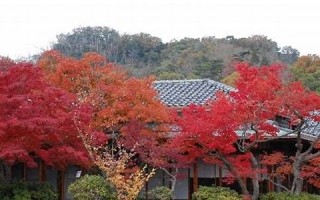 2009年12月21日(2009年12月21日出生是什么星座)
