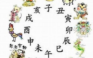 92年属什么的(92年属什么的正确答案)