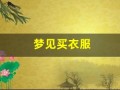 梦见买衣服(梦见买衣服是什么意思)