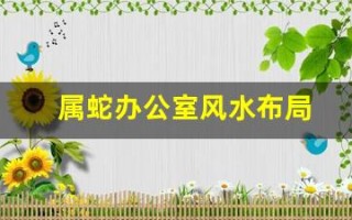 属蛇办公室风水布局(属蛇办公室最好的方位)