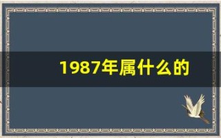 1987年属什么的(几岁)