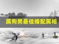 属狗男最佳婚配属相(属狗男和属蛇女的婚姻如何)