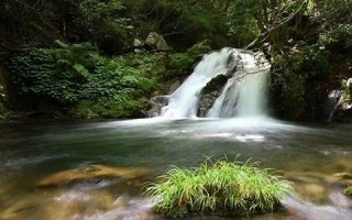 2016年6月6日(2016年6月6日出生是什么命)