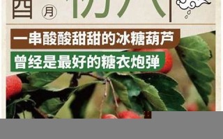 七月初八(七月初八是几月几号)