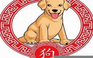 属狗是哪年出生的(属羊是哪年出生的)