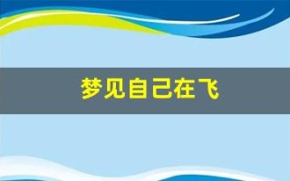 梦见自己在飞(梦见自己在飞来飞去)