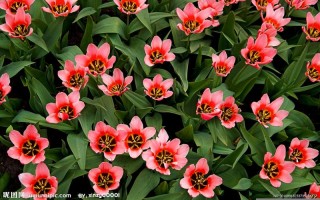 2016年2月13日(2016年2月13日是星期几)