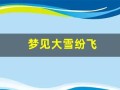 梦见大雪纷飞(离婚女人梦见大雪纷飞)