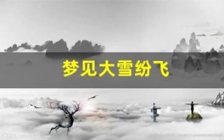 梦见大雪纷飞(离婚女人梦见大雪纷飞)