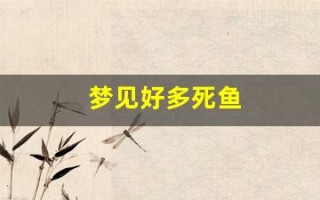 梦见好多死鱼(梦见好多死鱼的含义周公解梦)