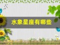 水象星座有哪些(水象星座有哪些日期)