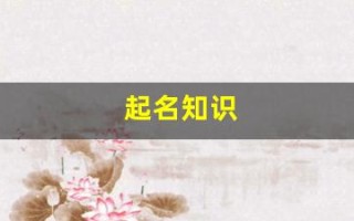起名知识(起名知识渊博的名字)