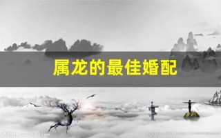 属龙的最佳婚配(属龙的最佳婚配属相)