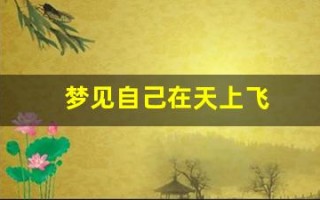 梦见自己在天上飞(梦见飞在空中)