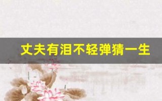 丈夫有泪不轻弹猜一生肖(丈夫有泪不轻弹解一肖)