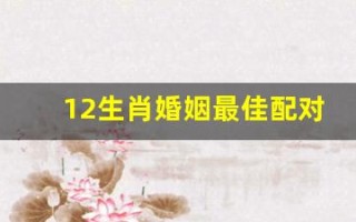 12生肖婚姻最佳配对(12生肖婚姻最佳配对歌)