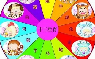 2014年属什么生肖(2004年属什么生肖)