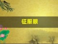征服眼(征服眼电子狗使用教程)