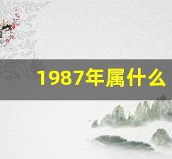 1987年属什么(1986年属什么)