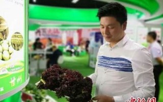 因地制宜打一生肖(因地制宜打一生肖最佳答案是什么)