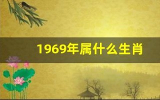 1969年属什么生肖(1994年属什么生肖)