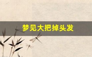 梦见大把掉头发(梦见大把掉头发什么意思周公解梦)
