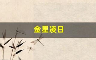 金星凌日(2012年金星凌日)