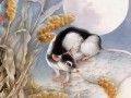 属鼠(属鼠人2025年全年运势运程)