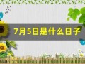 7月5日是什么日子(7月5日是什么日子农历)