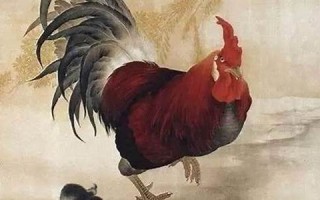 属鸡的人2012年运程(属鸡的人2012年运程详解)