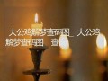 2021年周公解梦大全查询(周公解梦全解查询梦见已故亲人)