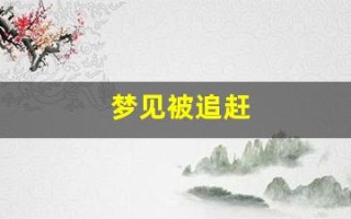 梦见被追赶(梦见被追赶逃跑躲藏是什么意思)