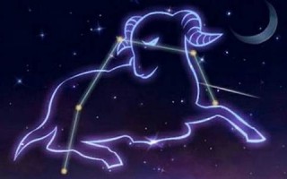 牧羊座是什么星座(牧羊座是什么星座的克星)