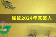 属鼠2024年家破人亡(属鼠2024年家破人亡运势如何)
