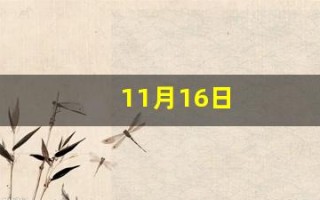 11月16日(11月16日是阳历几月几号)