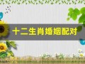 十二生肖婚姻配对(十二生肖婚姻配对表鸡和狗)