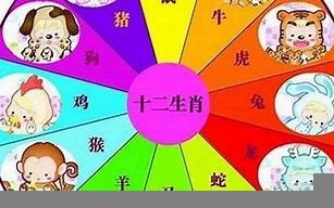 1975年属什么(1975年属什么今年多大)