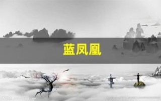 蓝凤凰(蓝凤凰组合阿珠阿花)