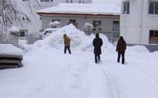 梦见大雪(梦见大雪很厚在雪地走)