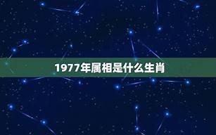 1977年属相(1977年属蛇的五行)