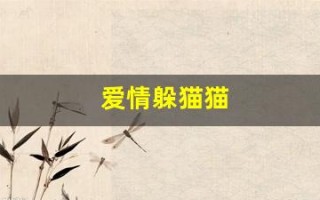 爱情躲猫猫(爱情躲猫猫漫画第三卷)