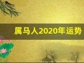 属马人2020年运势(2025属马人全年运势如何1978)