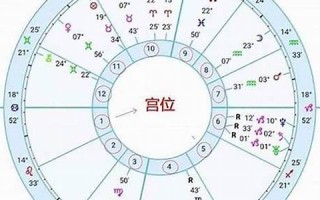 星盘 查询(星盘查询软件)